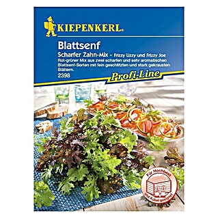 Kiepenkerl Profi-Line Salatsamen Blattsenf Scharfer Zahn (Brassica juncea var. rugosa, Erntezeit: April - Dezember)
