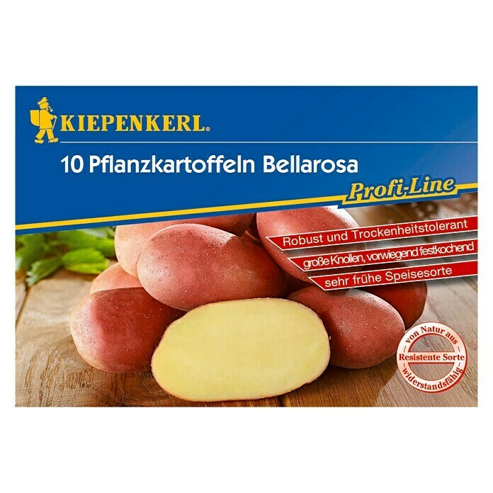 Kiepenkerl Profi-Line Sjemenski krumpir 