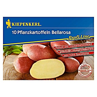 Kiepenkerl Profi-Line Sjemenski krumpir (10 Kom.)