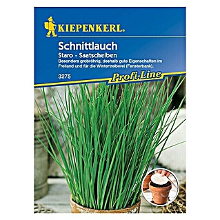 Kiepenkerl Profi-Line Kräutersamen Schnittlauch (Allium schoenoprasum, Erntezeit: Ganzjährig)