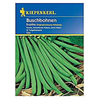 Kiepenkerl Gemüsesamen Buschbohne (Duplika, Phaseolus vulgaris var. nanus, Erntezeit: Juli - September)