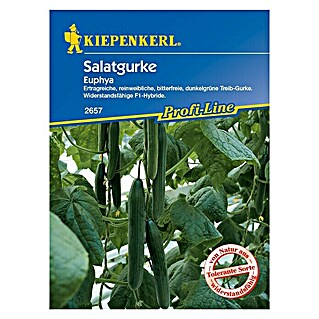 Kiepenkerl Profi-Line Gemüsesamen Salatgurke (Euphya, Cucumis sativus, Erntezeit: Juli - Oktober)