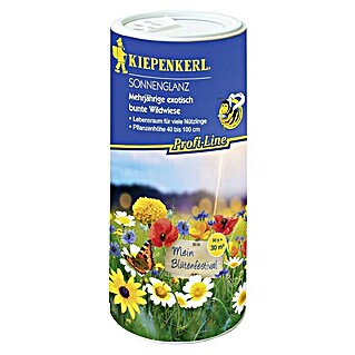 Kiepenkerl Profi-Line Blumensamenmischung (Sonnenglanz, Verschiedene Sorten, Blütezeit: Juni - Oktober, 30 m²)