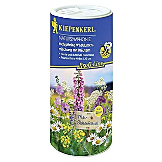 Kiepenkerl Profi-Line Blumensamenmischung (Natursymphonie, Verschiedene Sorten, Blütezeit: Juni - Oktober, 30 m²)
