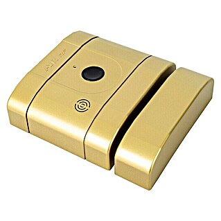 AYR Cerradura electrónica int-LOCK RF (L x An x Al: 145 x 121 x 36 mm, Transmisión: Radio, Latón)
