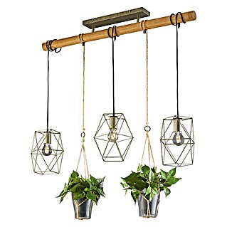 Trio Leuchten Hanglamp Plant 3 x E27 (120 W, l x b x h: 115 x 22 x 150 cm, E27)