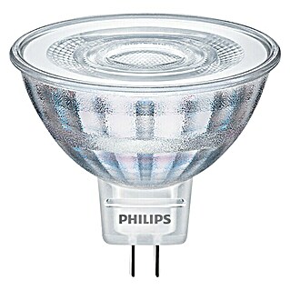 Philips Bombilla LED Classic CW (GU5,3, 35 W, 390 lm)