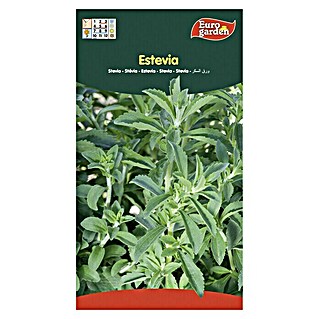 Euro Garden Semillas de vegetales Stevia (Cosecha: Abril - Octubre)