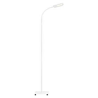 Briloner Lámpara de pie LED Office step (Altura: 128 cm, Blanco)
