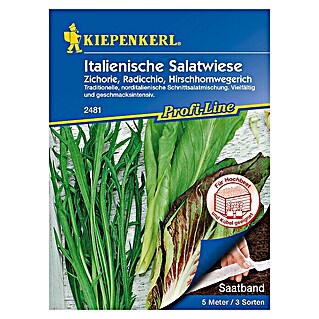 Kiepenkerl Profi-Line Salatsamenmischung Italienische Salatwiese (Verschiedene Sorten, Erntezeit: Juni - Oktober)