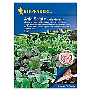 Kiepenkerl Profi-Line Salatsamenmischung Asia-Salate (Verschiedene Sorten, Erntezeit: Mai - Oktober)