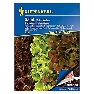 Kiepenkerl Profi-Line Gemüsesamen Schnittsalat (Verschiedene Sorten, Erntezeit: Mai - Oktober)