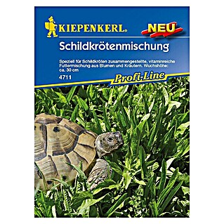 Kiepenkerl Profi-Line Saatgut Schildkrötenmischung (Verschiedene Sorten)