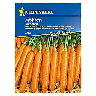 Kiepenkerl Profi-Line Gemüsesamen Möhre (Narbonne, Daucus carota ssp. sativus, Erntezeit: August - Oktober)