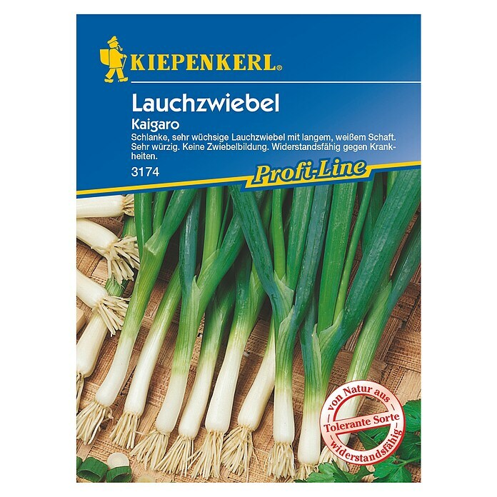 Kiepenkerl Profi-Line Gemüsesamen Lauchzwiebel Kaigaro 