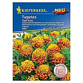 Kiepenkerl Profi-Line Blumensamen Studentenblume (Tagetes patula, Tiger Eyes, Blütezeit: Juni - Oktober)