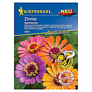 Kiepenkerl Profi-Line Blumensamen Zinnie (Zinnia elegans, Bumblebee)