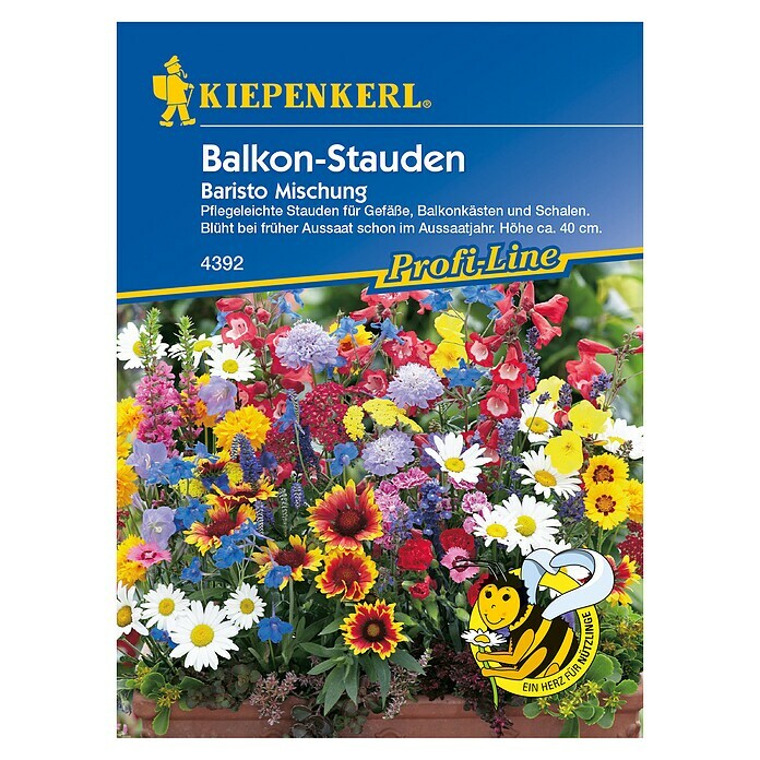 Kiepenkerl Profi-Line Blumensamen Balkon-Stauden Baristo Mischung 
