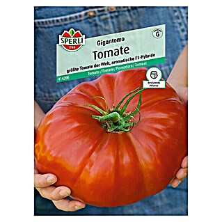 Sperli Gemüsesamen Tomate (Gigantomo, Solanum lycopersicum, Erntezeit: Juli - Oktober)
