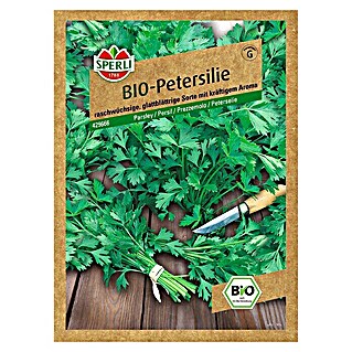 Sperli Kräutersamen Petersilie (Bio Petersilie glatt, Petroselinum crispum, Saatzeit: April - August, Erntezeit: Ganzjährig)