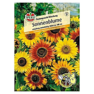 Sperli Blumensamen Sonnenblume (Farbenpracht Mix, Helianthus annuus, Blütezeit: August - Oktober)