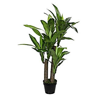 Planta artificial Dracanea (Altura: 110 cm, Plástico)