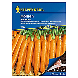 Kiepenkerl Profi-Line Gemüsesamen Möhre (Narbonne - Saatband, Daucus carota ssp. sativus, Erntezeit: Juli - Oktober)
