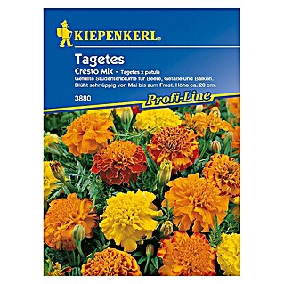 Kiepenkerl Profi-Line Blumensamen Studentenblume (Tagetes patula, Cresto Mix, Blütezeit: Mai - Oktober)