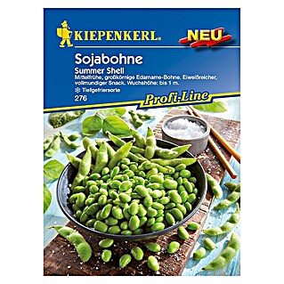 Kiepenkerl Profi-Line Gemüsesamen Sojabohne (Glycine max., Erntezeit: August - Oktober)