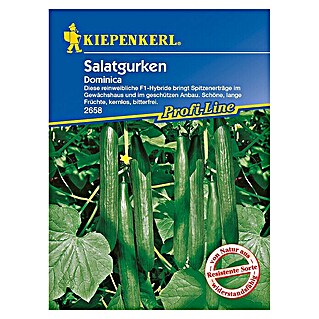 Kiepenkerl Profi-Line Gemüsesamen Salatgurke (Dominica, Cucumis sativus, Erntezeit: Juni - September)