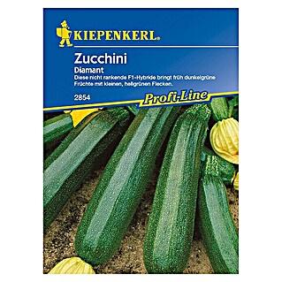 Kiepenkerl Profi-Line Gemüsesamen Zucchini (Diamant F1, Cucurbita pepo, Erntezeit: Juni - August)