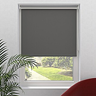 Auf welche Faktoren Sie zuhause bei der Auswahl der Fenster plissee verdunkelung achten sollten!