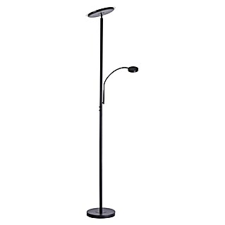 LeuchtenDirekt Lámpara de pie LED Christine (22 W, Altura: 193 cm, Negro, Blanco cálido)