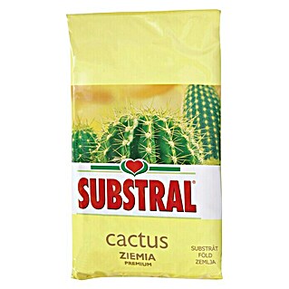 Substral Zemlja za kaktuse (3 l)