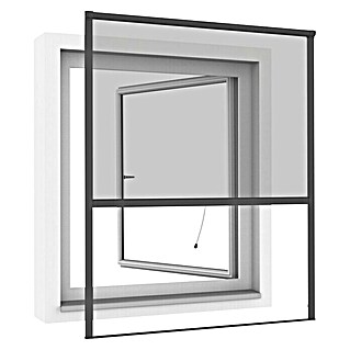 Windhager Insektenschutz-Fensterrollo IS Plus (100 x 160 cm, Anthrazit)