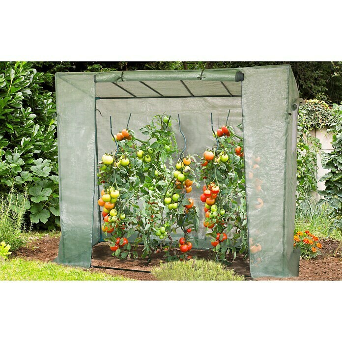 Tomaten Gewächshaus Frühbeet 200x169 cm Stahl Kunststoff Treibhaus Garten Gemüse 