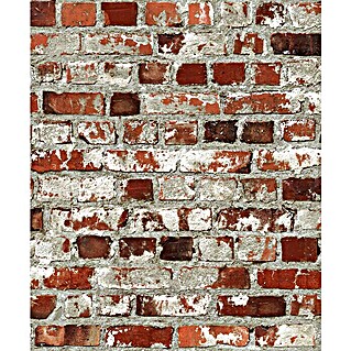 Dutch Wallcoverings Papierbehang Bakstenen (Bruin/Rood, Steenlook, 10 x 0,53 m)