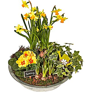 Holz Blumen-Schale mit Kunststoff-Folie zum bepflanzen Pflanzschale natur