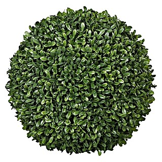 Kunstpflanze Buchskugel (Durchmesser: 30 cm, Kunststoff, Grün)