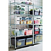 SmartStore Aufbewahrungsbox Classic (L x B x H: 40 x 30 x 19 cm, Kunststoff, Transparent)