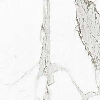 Pavimento cerámico Palatina (45 x 45 cm, Blanco Carrara, Rectificado, Brillante)