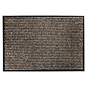 Astra Miami Sauberlaufmatte Punkte (Anthrazit/Braun, 100 x 67 cm)