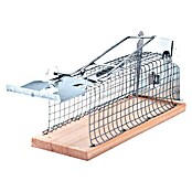 Spalexe Mäusefalle 6 Stück Profi-MäUsefalle Effektive einfaches Hygienisch und wiederverwendbar Rattenfalle in Haus und Garten Drinnen Draußen 