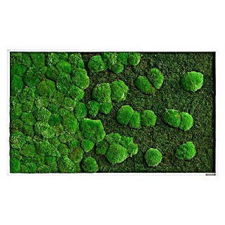 styleGreen Wanddeko Wald- & Kugelmoos Verlauf (Grün, 60 x 100 cm)