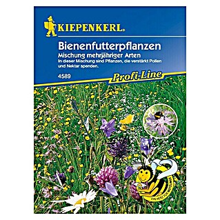Kiepenkerl Profi-Line Blumensamenmischung Bienenfutterpflanze (Verschiedene Sorten, Blütezeit: Juni - September, 5 m² - 8 m²)