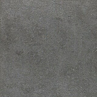 Terrassenfliese E20T Basalt (60 x 60 x 2 cm, Schwarz, Matt)