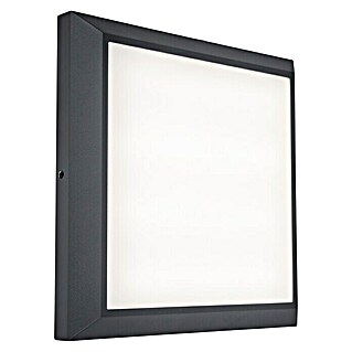 Lutec Aplique exterior LED Helena (20 W, 36 x 220 x 220 mm, Gris oscuro, IP54)