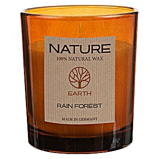 Duftkerze Sences of Nature (Im Glas, Rain Forest, Ø x H: 7 x 8,5 cm)