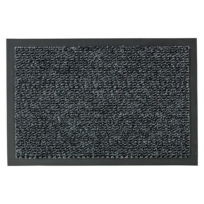 Astra Schmutzfangmatte Achat (Meliert, Anthrazit, 40 x 60 cm, Material Nutzschicht: 100 % Polypropylen)
