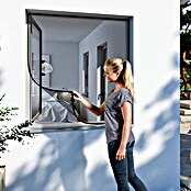 Windhager Insektenschutz-Magnetrahmen Komplettset (B x H: 100 x 120 cm, Farbe Rahmen: Anthrazit, Magnetbefestigung, Fiberglas)